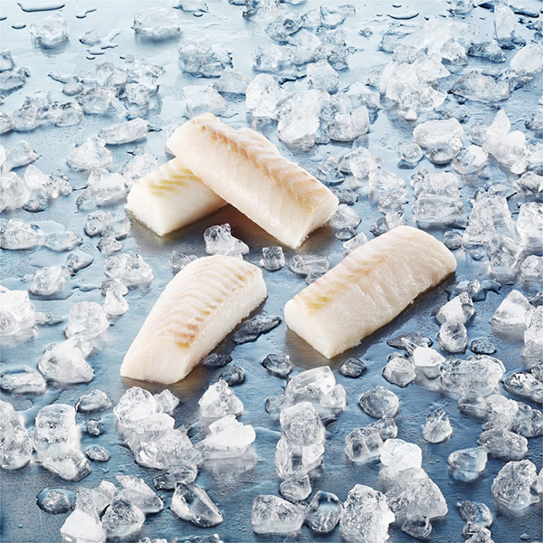 Alaskan Pollock--Theragra chalcogramma