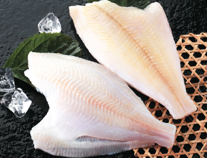 Yellow Fin Sole—Limanda aspera