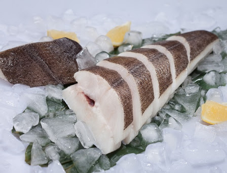 Halibut-Hippoglossus hippoglossus