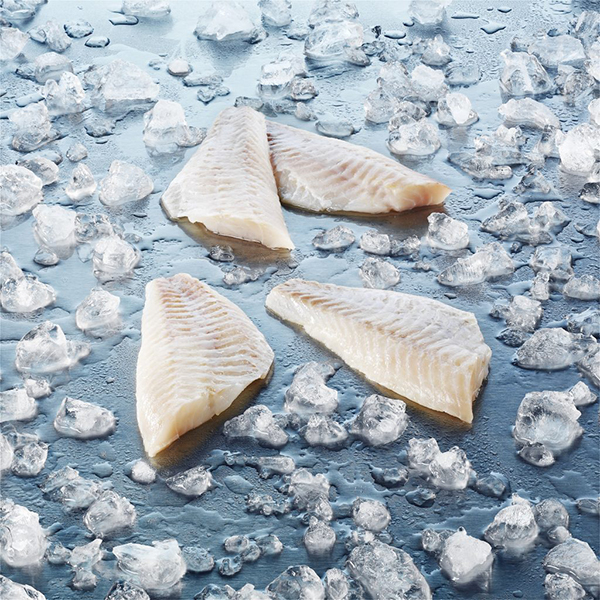 Atlantic Redfish--Sebastes marinus,mentella