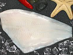 Rock Sole—Lepidopsetta bilineata,polyxystra