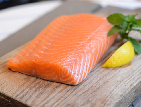 Atlantic Samon-Salmo Salar