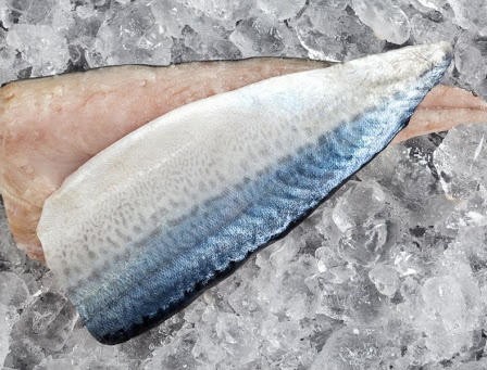 Pacific Mackerel-Scomber Japonicus