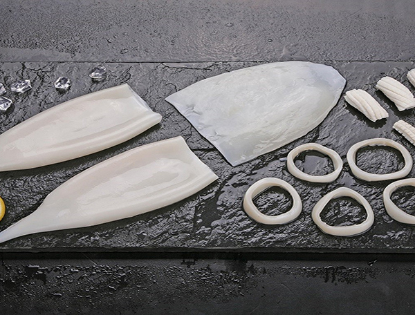 Squid-Dosidicus gigas