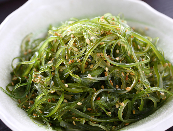 Wakame-Undaria pinnatifida