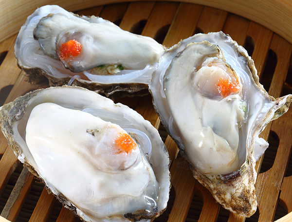 Oyster--Ostreidae